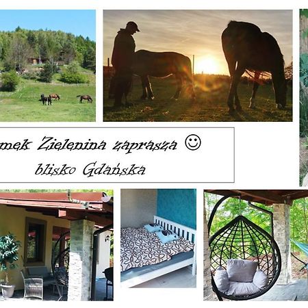 Domek Zielenina Mierzeszyn Kültér fotó